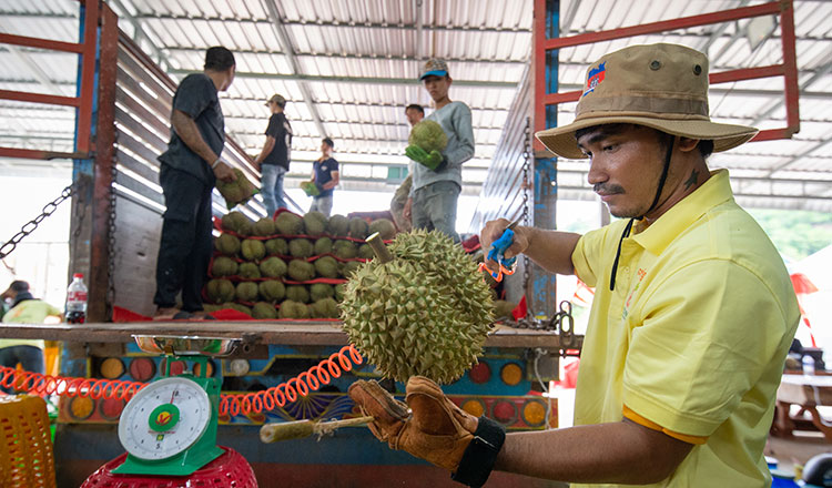 Cambodia exports 5,738 tonnes of fresh durian to China